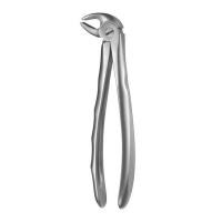 FORCEPS FIGURE 13 Img: 201807031