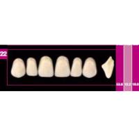 COSMO HXL ant sup T2 D2 Img: 201807031