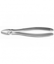 M5001 FORCEPS tue INCIS.Y CANIN.  SUP . ****  Img: 202204301