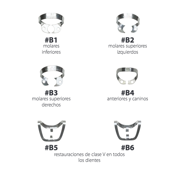 Gancio Per Dighe Ivory KULZER 26 N Molari Superiori Dx E Sx - Foto 4