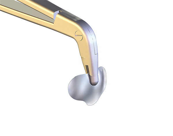 PALODENT PLUS ANNEAU UNIVERSEL (2u.) MATRICES MÉTALLIQUES - Dentsply - Foto 10