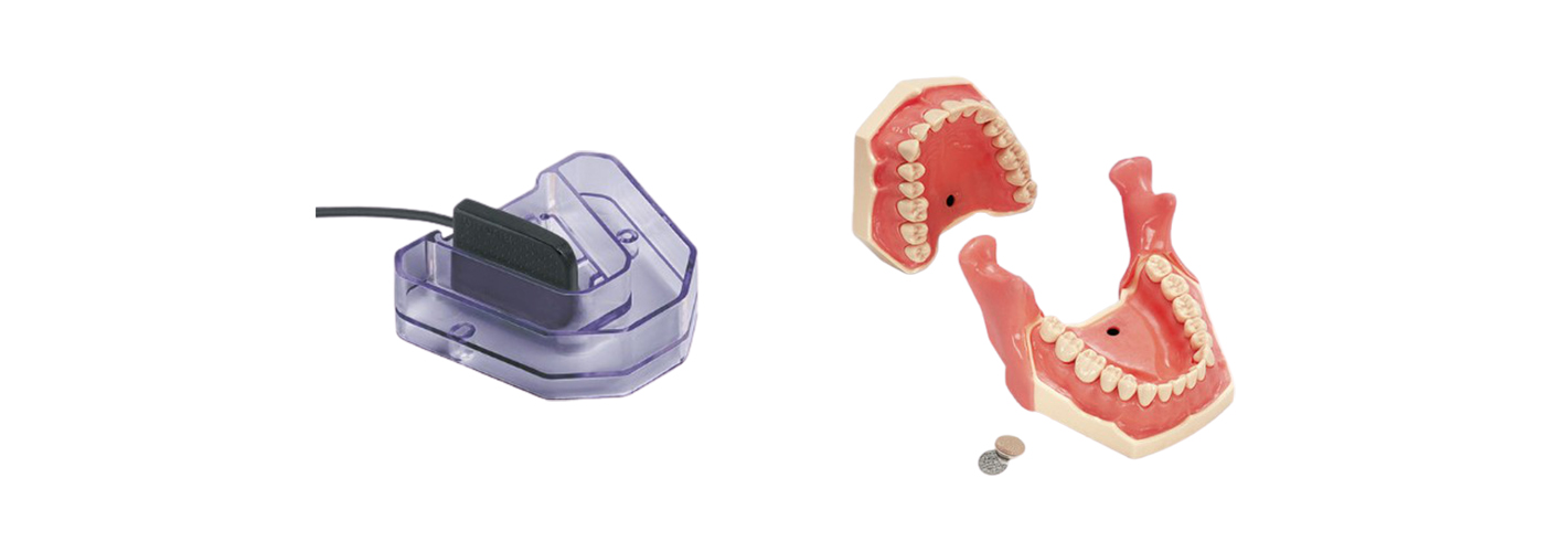 Modelli di radiografia, anestesia locale y estrazione di Frasaco