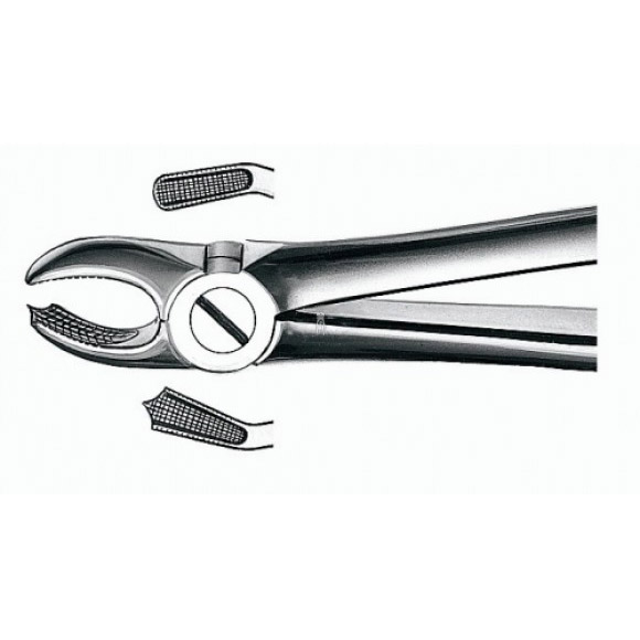 Pinze Dentali Per Estrazione Molari Superiori 67R, Acciaio Inox, DENTECH, CE - Foto 4