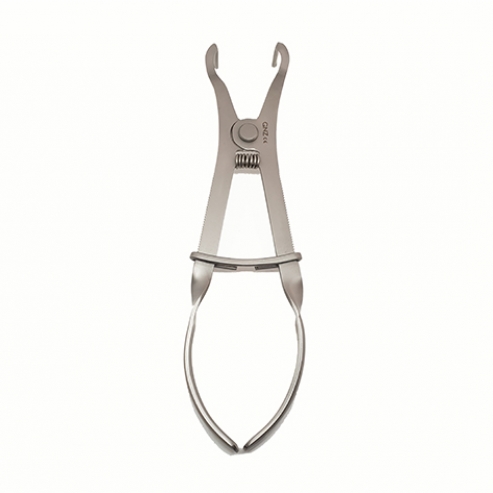 Porta Clamps Ivory Img: 202211051