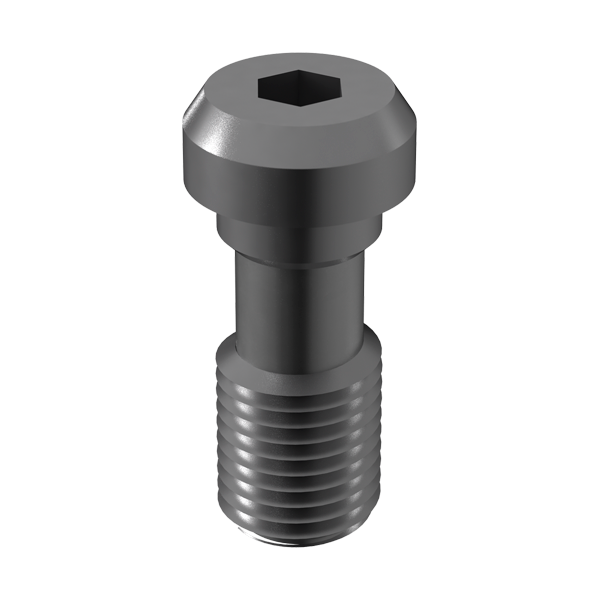 TITANIO VITE M2.5 WP C.EXT.HEX Img: 201807031