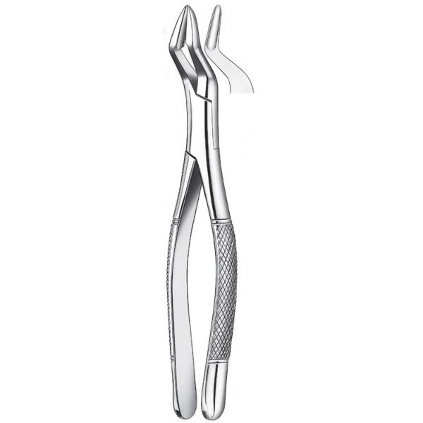 409 / 32A PINZA Parmly Img: 201811031