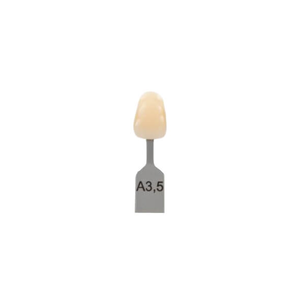 Guida ai colori di Vita Classic - A3.5 Img: 202304151