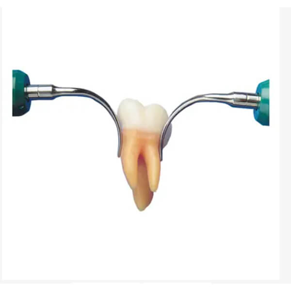 Cavitron Slimline-10 S FG: Indicato per il trattamento subgengivale Img: 202503151