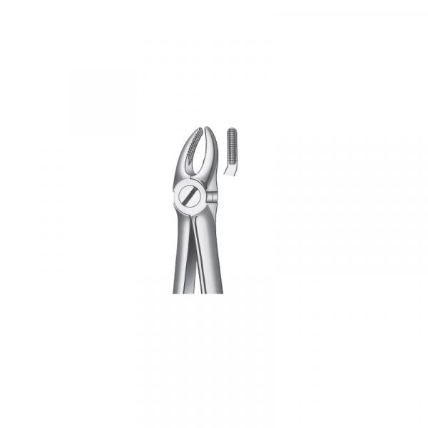 7D pinza da premolari SUP. DIAM. Img: 201811031