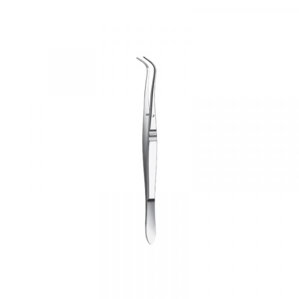 794 / 15,5cm.PINZA AMSTERDAM CIR Img: 201811031