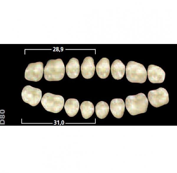 Gnathostar posto AD inf D88 A2 Img: 201807031