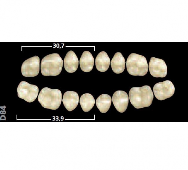 Gnathostar posta inf D82 1C Img: 201807031