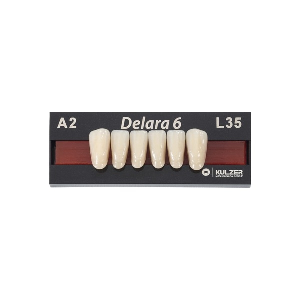 Delara: Denti anteriori/inferiori L38 A3 (6 pz.) - L38 A3 Img: 202303041