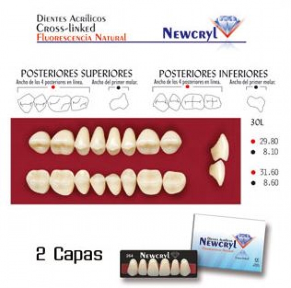 DENTI NEWCRYL-VITA 30L UP B2 Img: 201807031