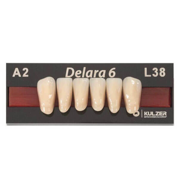 Delara: Denti anteriori/inferiori L38 A3 (6 pz.) - L38 A3 Img: 202509131