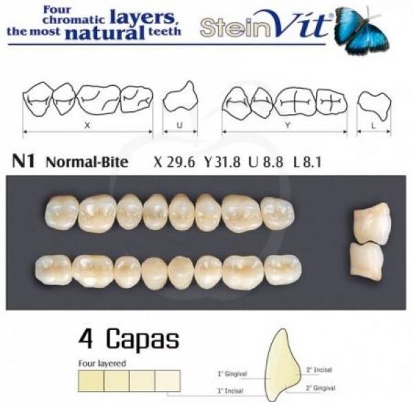 DENTI STEINVIT LO N1 A2 Img: 201807031