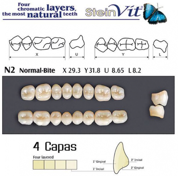 DENTI SU STEINVIT N2 D3 Img: 201807031