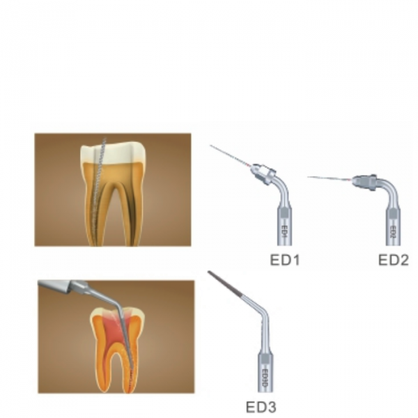 5 Pezzi Woodpecker DTE Inserti Piezo / Punte Per La Pulizia Endodontica  Ed1 Ed2 Ed3 Ed5 Ed5d Ed8 Ed9 Compatibile Con Nsk Satelec Acteon - Foto 11