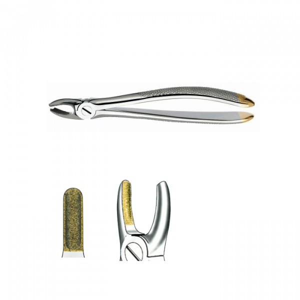 18D PINZE MOLAR SUP. IZQ. DIAMANT. Img: 202111131