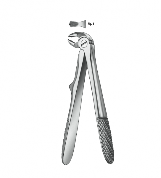 BAMBINO FOR.KLEIN 280/6 MOLAR.INF Img: 202111131