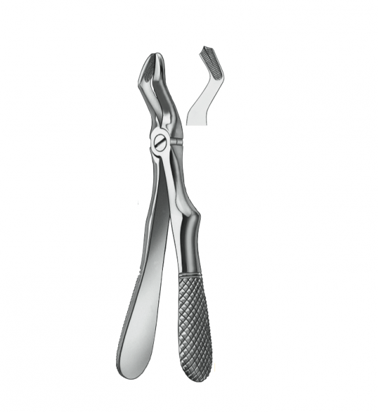BAMBINO FOR.KLEIN 280/3 MOLAR.SUP Img: 202111131