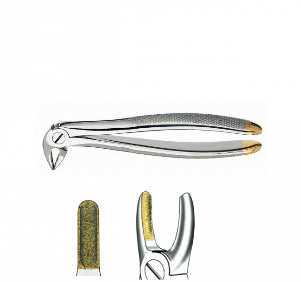 33 dC PINZE ROOT INF. DIAMANT. Img: 202111131