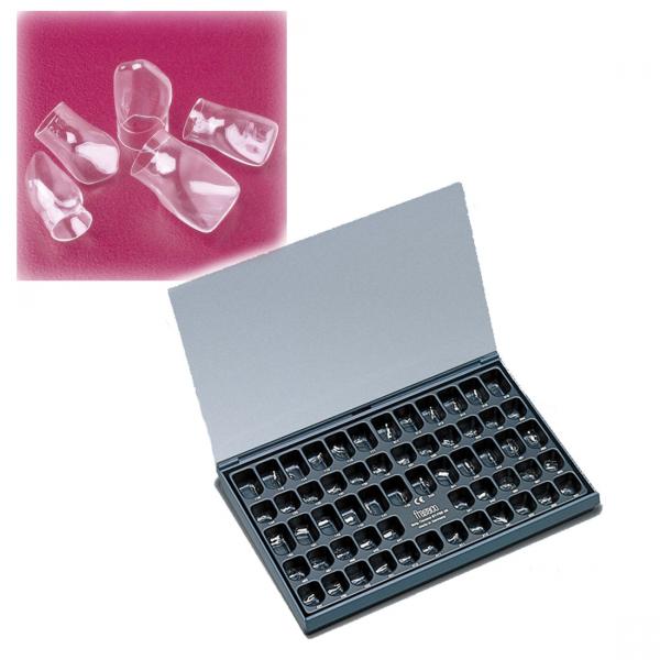 ASSORTIMENTO DI DENTI SOPRA TRASPARENTE Img: 201811031