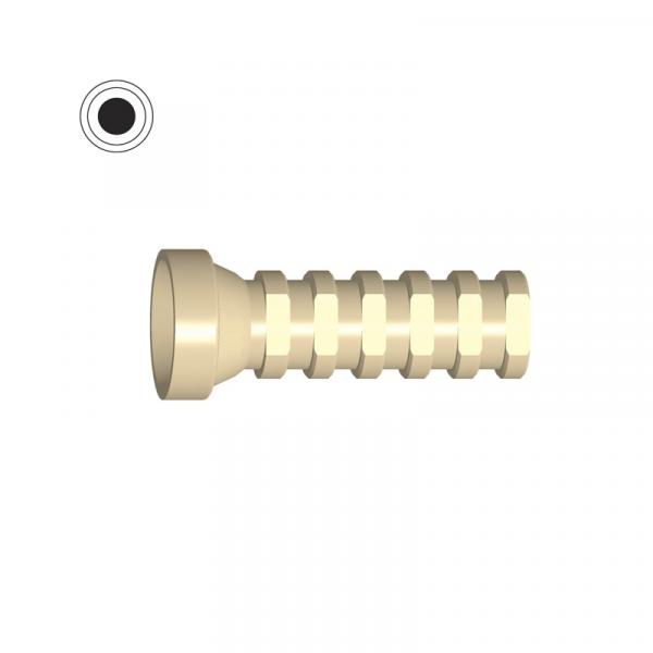 Cilindro Provvisorio Ottagonal Interno (Straumann Bone Level RC®) - Peek Img: 202102271