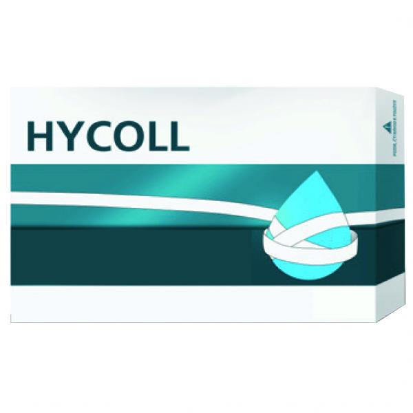 Spugna di collagene Hycoll 1 (100x100 mm und scatola 5) Img: 201807031