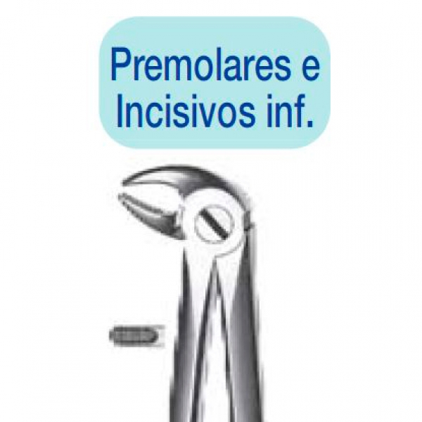 incisivi superiori PINZE KDM 13 inf e premolari Img: 202202121