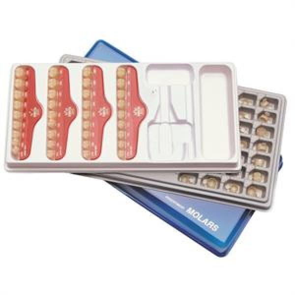 KIT ASSORTED POLICARBONATO TRASPARENTE CORONE molare (2x36) Img: 202111131