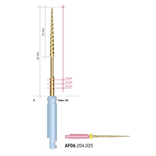 Alpha System: Lime NiTi (5 pezzi) - L: 22 mm - N: 25 - C: 06 Img: 202306101