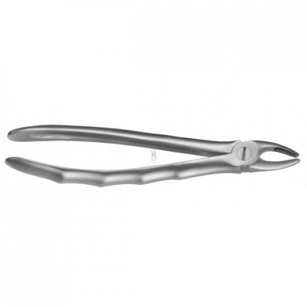 LS7 pinza da premolari SUP. acciaio liquido Img: 201807031