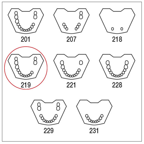 Tipodonto AG-3: Modello di Mandibola con Denti Parziali TWUK e TWOK - TWUK 219 Img: 202509201