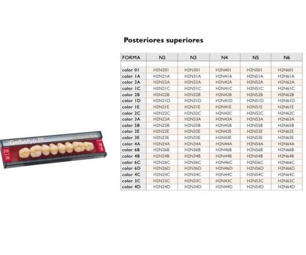 SR Orthotyp S PE caricare sup N3 2A Img: 201807031