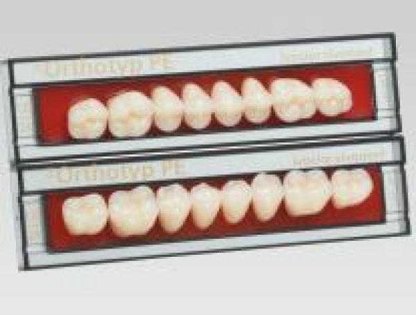 SR Orthotyp posta inf N4 120 Img: 201807031