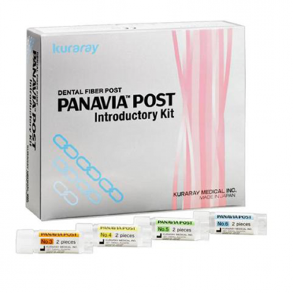 INTRODUZIONE KIT Panavia POST Pali in fibra 8 unità Img: 201807031