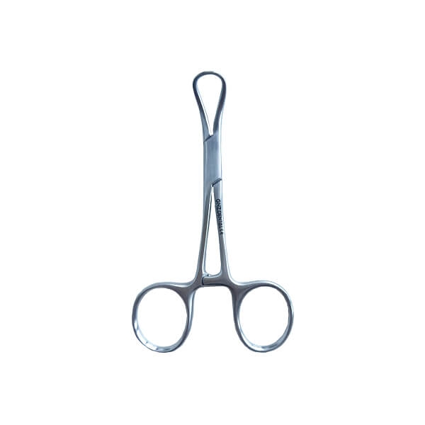 Morsetto dentale Backhaus Img: 202311181
