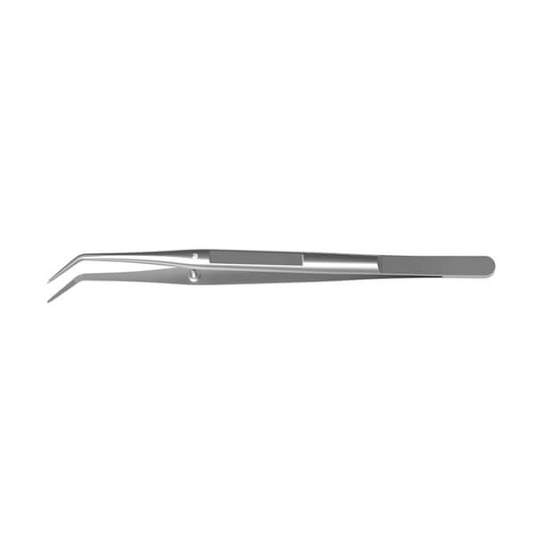 Pinze odontoiatriche College LS-Passion  - Passione dentale Img: 202508091