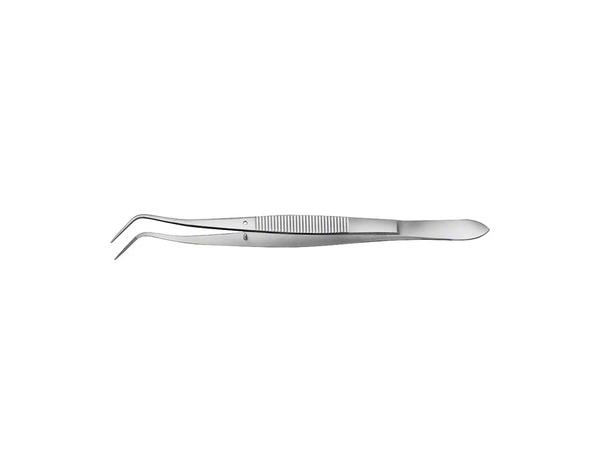Pinza dentale Meriam (160 mm) Img: 202108071
