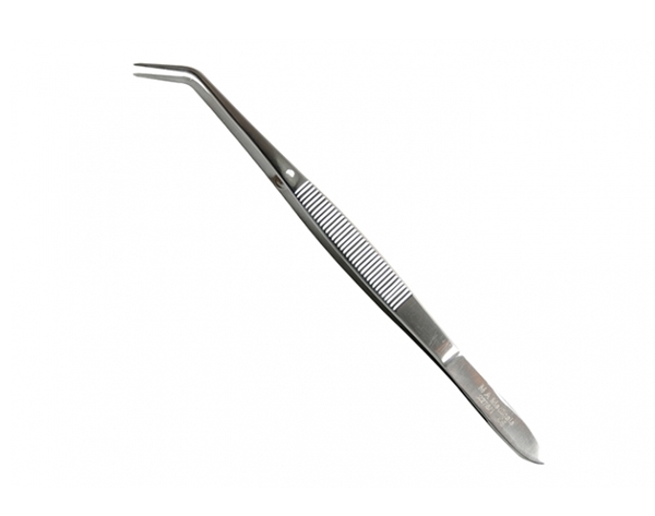 Forcipe dentale 17 cm -  Img: 202304151