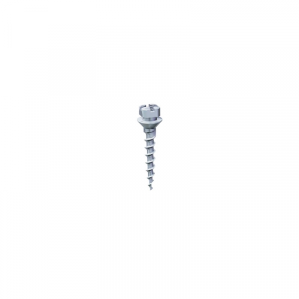 Spider Regular Plus: Microvite K2  - Regular Plus 7,0 x 2,0mm. Img: 202304081