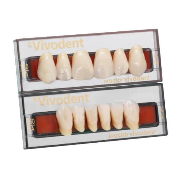 SR VIVODENT ant inf A6 110 Img: 202304221