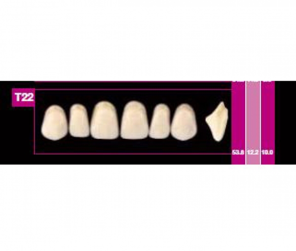 COSMO HXL formica sup T2 D2 Img: 201807031