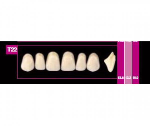 COSMO HXL formica sup T20 A3 Img: 201807031