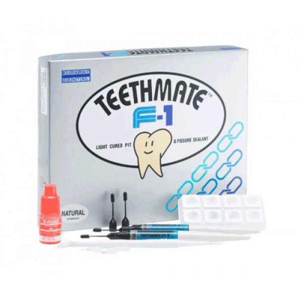 TEETHMATE F-1 - KIT OPACO SIGILLANTE solchi e fessure Img: 201807031