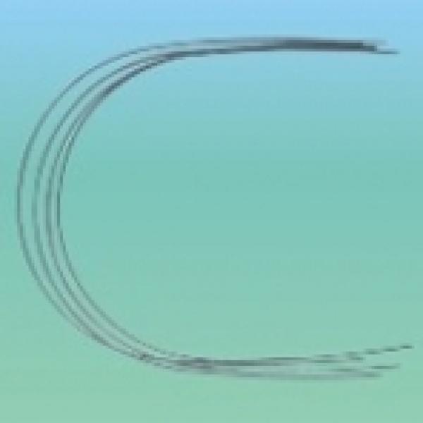 ARCO NITI INF TERMICO. 17x25 Img: 201807031
