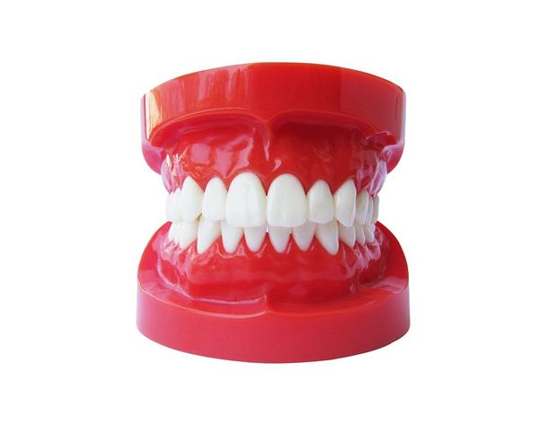 Tipodonto ortodontico senza brackets Img: 202105291