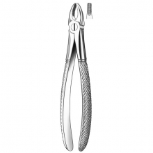 37 PINZA incisivi BAMBINI SUP. Img: 202111131