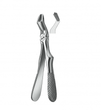 BAMBINO FOR.KLEIN 280/3 MOLAR.SUP Img: 202111131